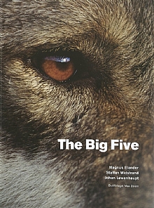 The Big Five